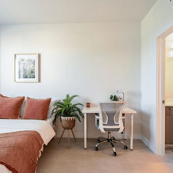 Cozy community lounge area